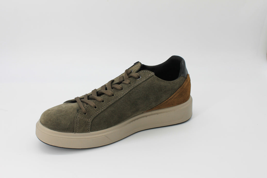 Igi & Co 6635111 Olive