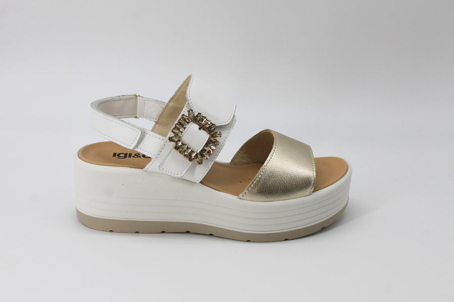 Igi & Co 7667322 Gold
