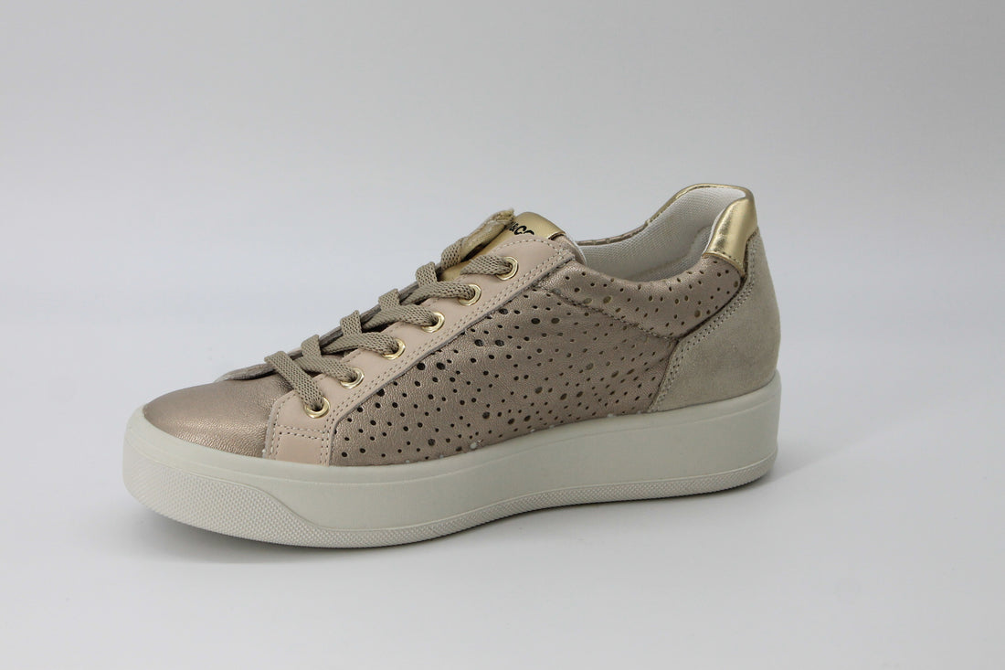 Igi & Co 7656411 Champagne