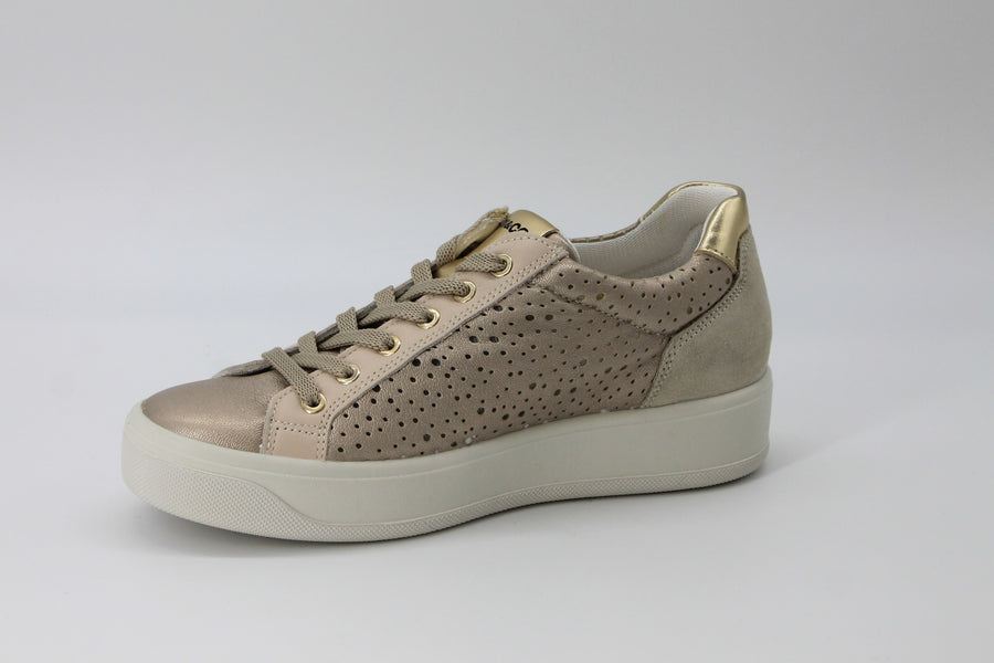 Igi & Co 7656411 Champagne