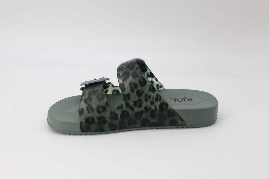 Igor 510336 Green /Print