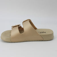 Igor 510345 Gold