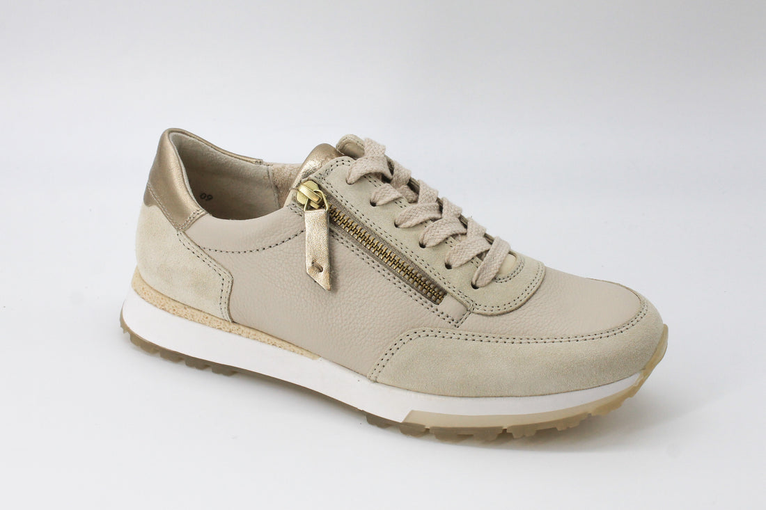 Paul Green 5310 Biscuit