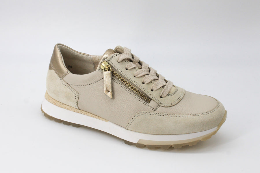 Paul Green 5310 Biscuit