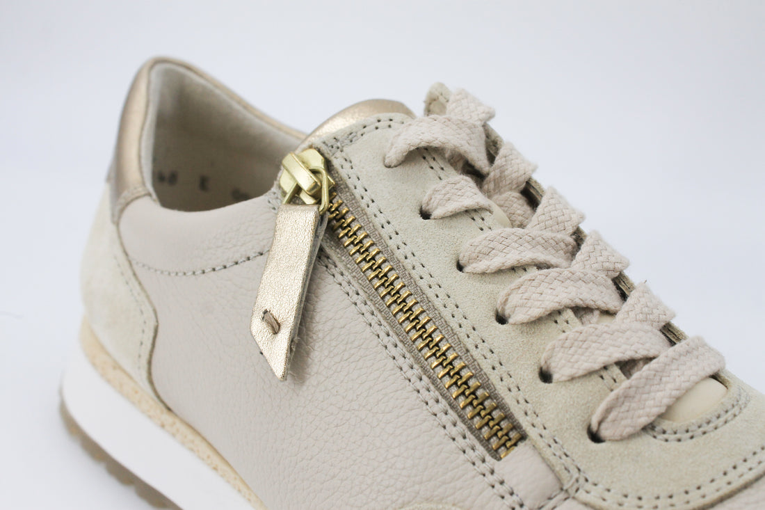 Paul Green 5310 Biscuit