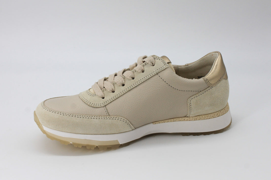 Paul Green 5310 Biscuit