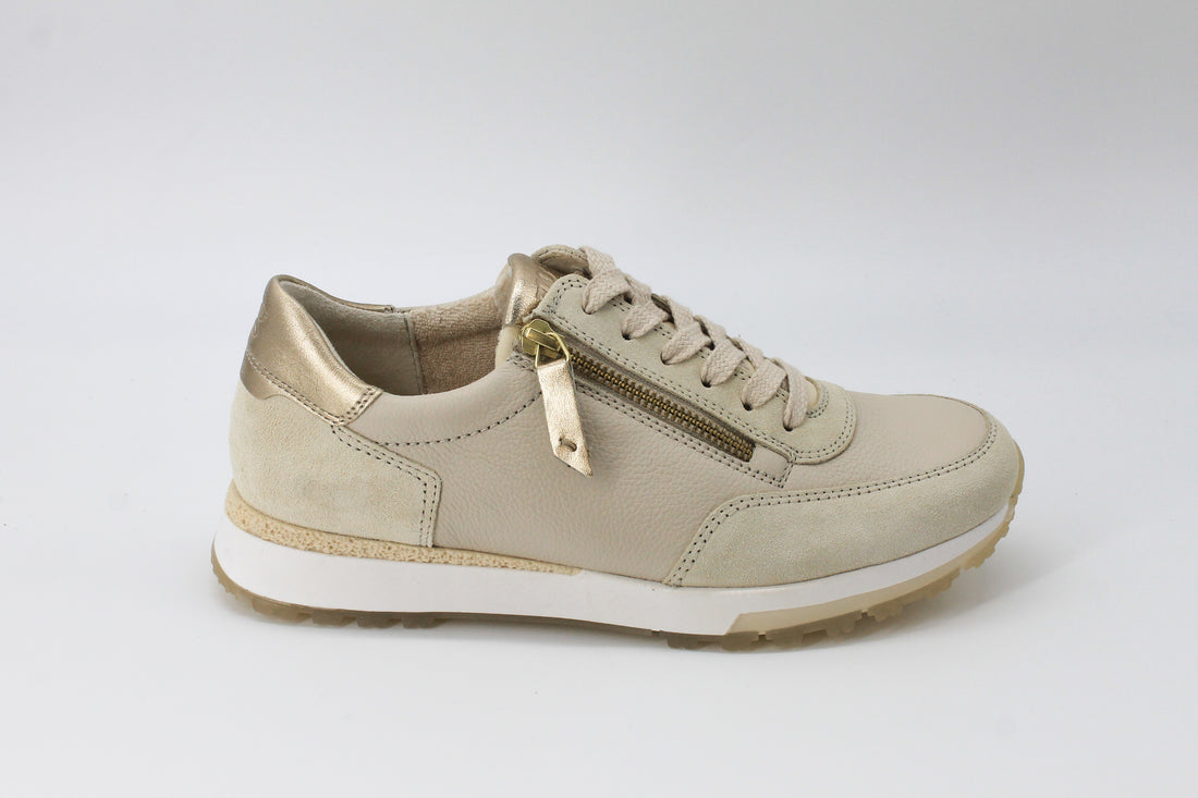 Paul Green 5310 Biscuit