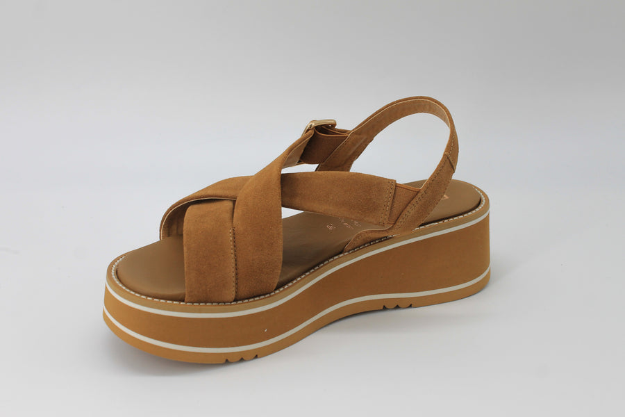 Repo 61208 Tan
