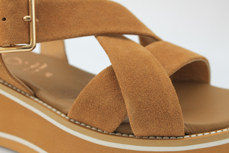 Repo 61208 Tan